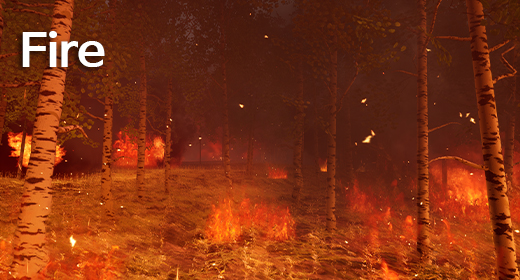 Fire