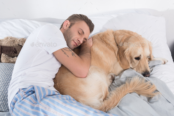 Handsome Man In Pajamas Sleeping On Bed While Hugging His Golden Retriever Stock Photo By Lightfieldstudios