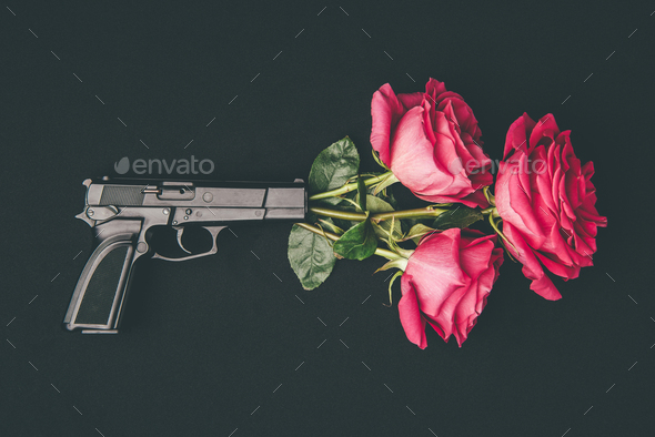 Bouquet of red roses shooting from gun isolated on black