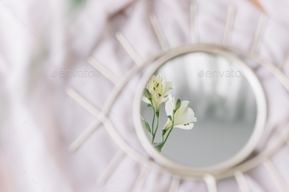 Beautiful alstroemeria flowers reflected in mirror on background of soft fabric. Spring aesthetics
