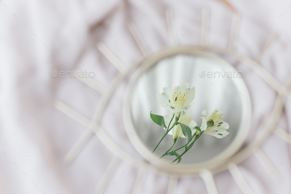 Beautiful alstroemeria flowers reflected in mirror on background of soft fabric. Spring aesthetics