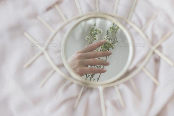 Hand holding manuka flowers reflected in mirror on background of soft fabric. Spring aesthetics