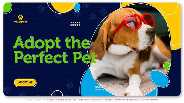 Adopt the Perfect - VideoHive 30388226