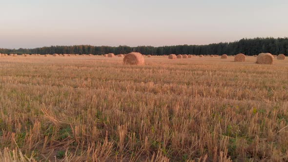 Straw Bales on Farmland alt