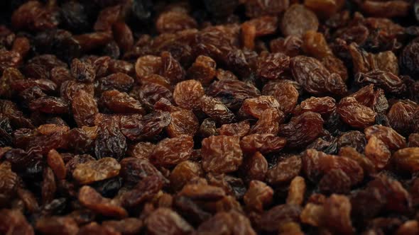 Lots Of Raisins Rotating alt