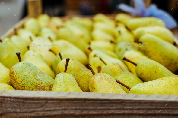 Fresh organic pears background. Ripe yellow large pears in wooden