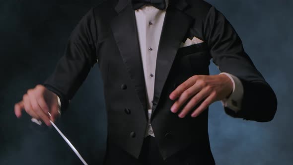 Concert of Classical Music Under Direction of an Orchestra Conductor alt