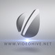 Logo Sting - VideoHive Item for Sale