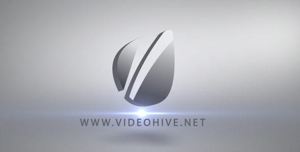 Logo Sting - VideoHive 2797528
