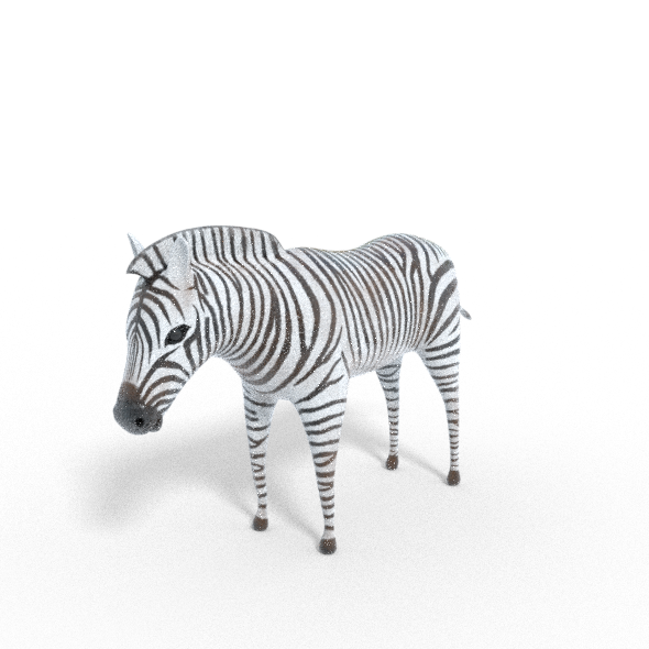 3D Zebra Model - 3Docean 30429048