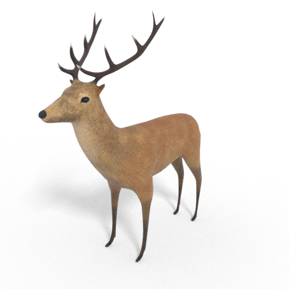 3D Deer Model - 3Docean 30438451