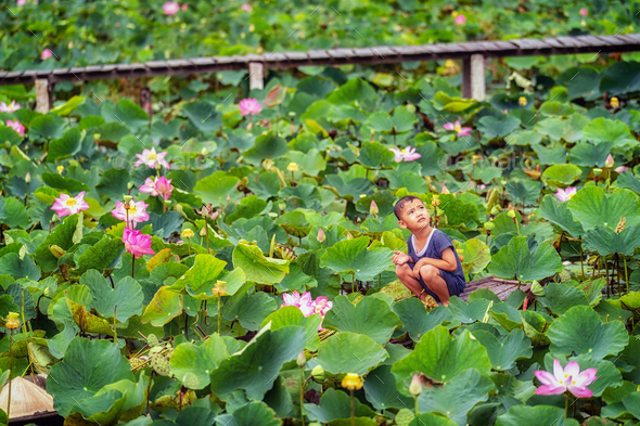 Vietnamese boy playing with the pink lotus over the traditional wooden boat in the big lake