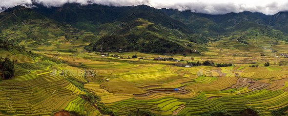 Panorama from Top view point which can see Rice terraced fields of Tu le District,