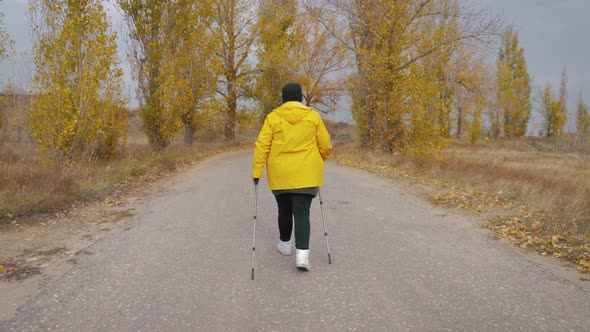 Senior Woman Making Nordic Walking in the Autumn Forest. Nordic Walking Race on Autumn Trail alt