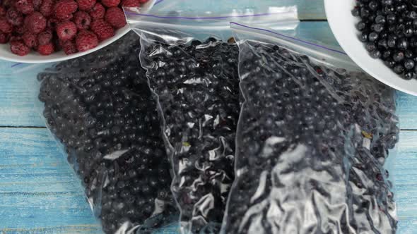 Packages with Blueberries in Zipper Plastic Bags for Freezing. Frozen, Preservation Berries Food alt