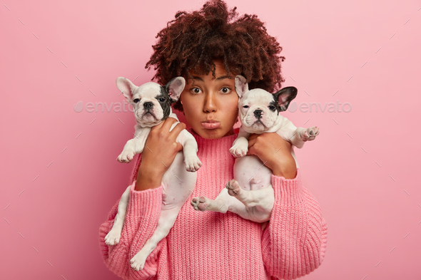 Sad surprised Afro American woman with small sized dogs, upset after vets visit, finds out about som
