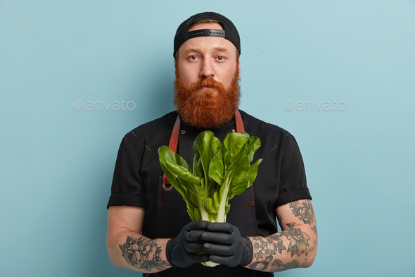 Chief chef holds bok choy for making fresh salad, buys fresh vegetables in grocers store, owns vegan