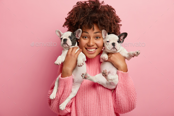 Satisfied woman with Afro haircut carries two new born puppies, plays and going to have rest after m