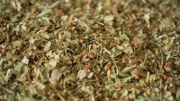 Rotation Medicinal Herbs Linden 2 alt