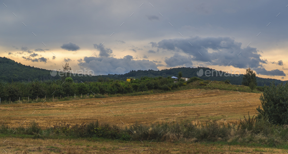 Low angle shot of a yellow dry field on cloudy sky background - Stock Photo - Images
