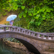 Female with an umbrella standing on a bridge - PhotoDune Item for Sale