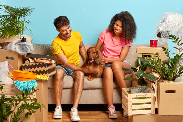 Horizontal shot of happy mixed race woman and man play with pedigree dog, pose on sofa in living roo