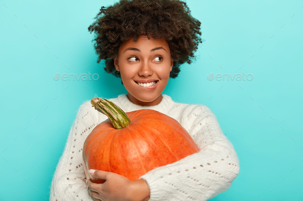 Satisfied Afro girl embraces big orange pumpkin, bites lips, wears knitted white sweater, has autumn