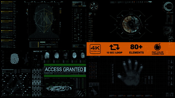 Biometric Identification 4K (80+elements)