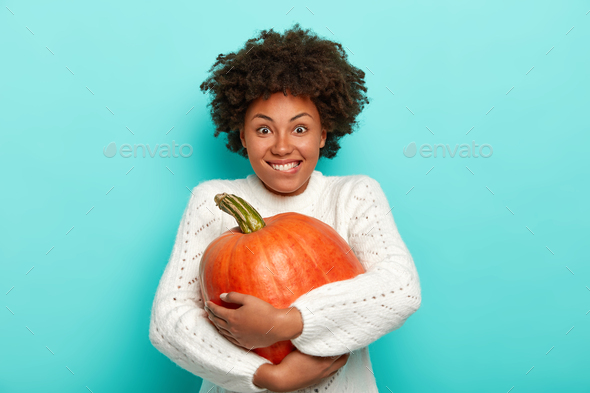 Happy Thanksgiving day. Smiling woman with Afro hairdo, bites lips, embraces big orange pumpkin, dre