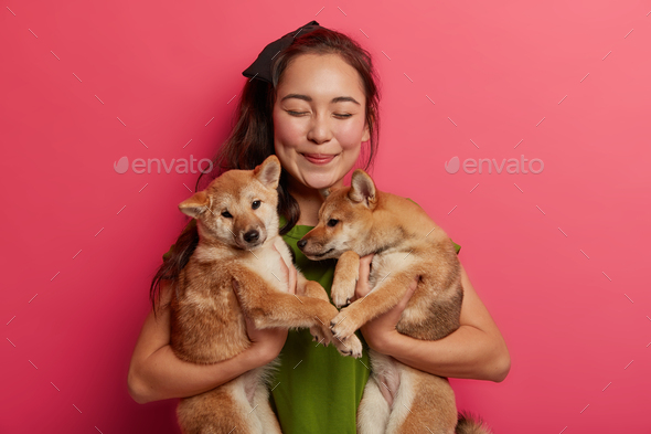 Lucky eastern woman found two pedigree puppies on street, finds host for shiba inu dogs, being pet l
