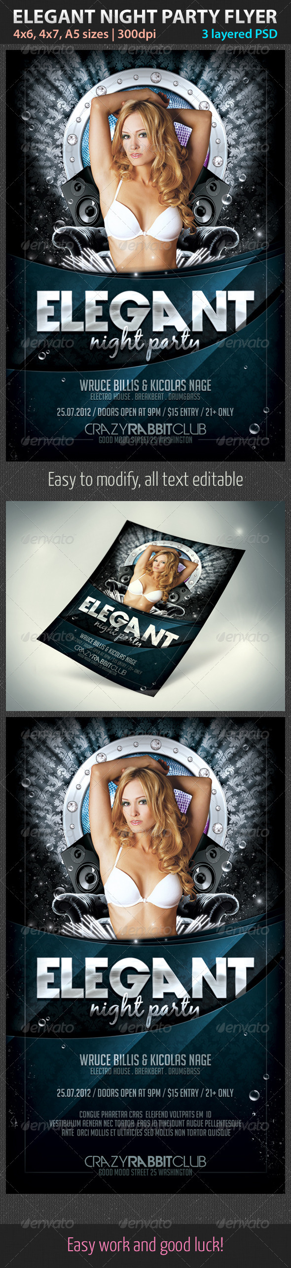 Elegant Night Party Flyer - Clubs & Parties Events