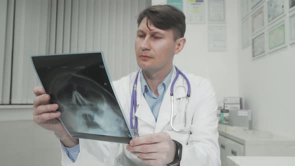 Mature Male Doctor Examining Head MRI Scan of His Patient alt