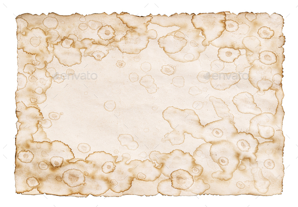 Vintage paper texture, old parchment isolated on white background Stock  Photo by xamtiw