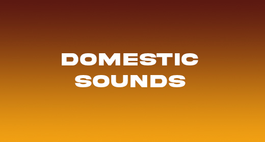 Domestic Sounds