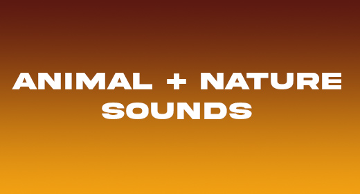 Animal + Nature Sounds