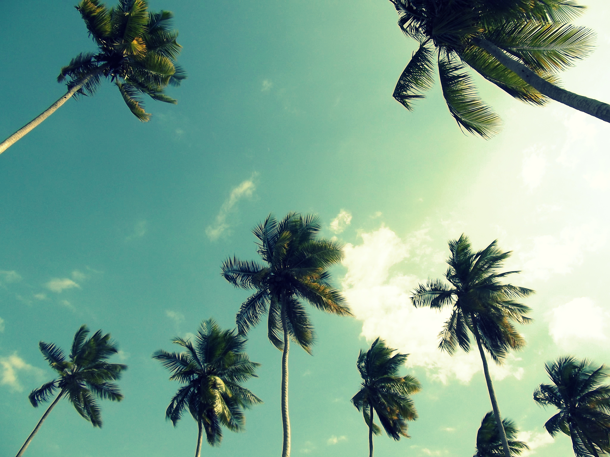 Nice day at the beach