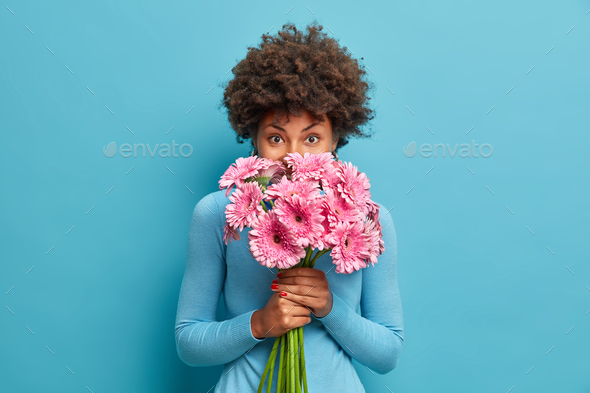 Good looking delicate African American woman smells rosy gerbera flowers, enjoys pleasant odour hold