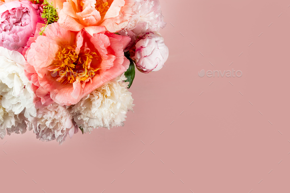 Amazing Fresh bunch of pink peonies - Stock Photo - Images