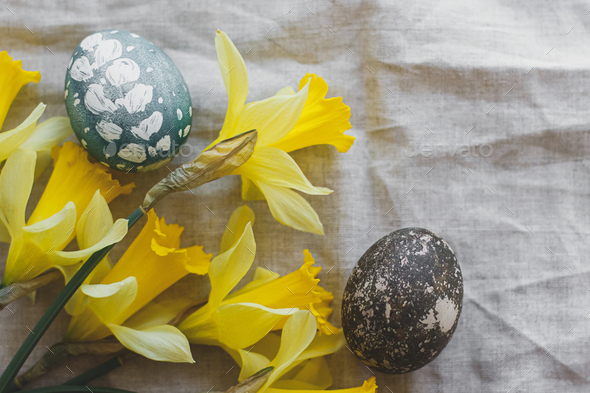 Easter eggs natural dyed on rustic linen napkin with yellow daffodils, flat lay. Happy Easter