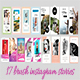 Brush Instagram stories - VideoHive Item for Sale