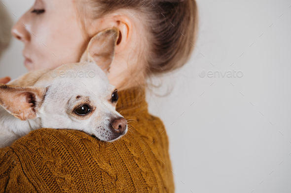 Pet love, homeless dog adoption, caring for a pet and animal concept. Pet Lovers, Animal Lovers - Stock Photo - Images
