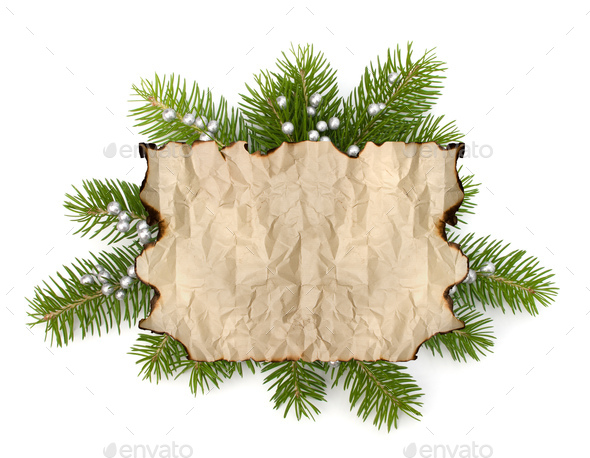 Old parchment paper with copy space on Christmas tree branch background  Stock Photo by natika