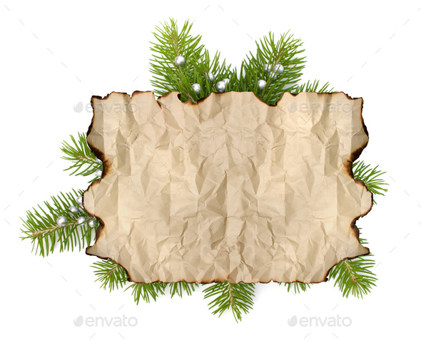 Old parchment paper with copy space on Christmas tree branch background - Stock Photo - Images