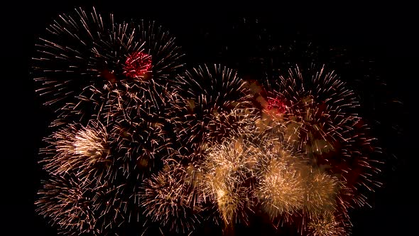 Beautiful sparkling golden firework display in celebration night