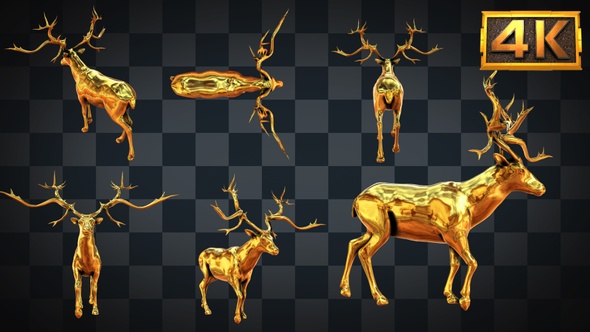 [6 In 1]4K Golden Elk Walking
