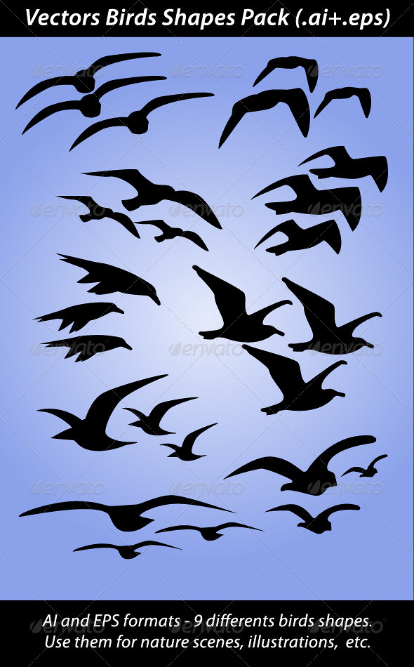 Vector Birds Shapes Pack - Animals Characters