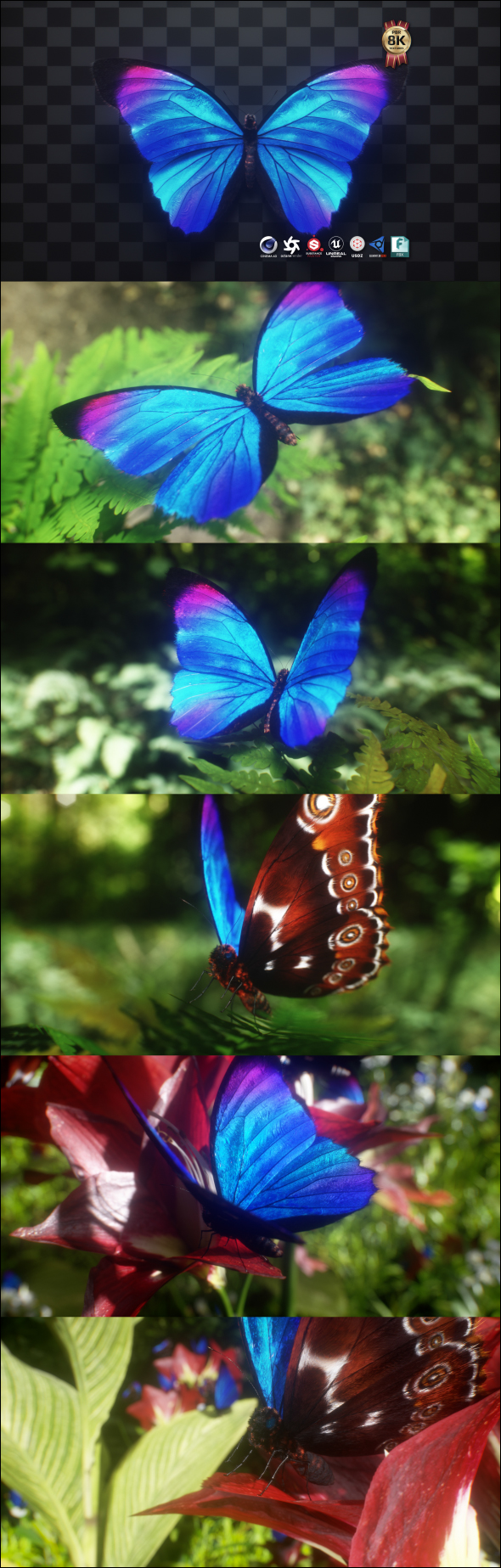 Blue Morpho Butterfly - 3Docean 30709969