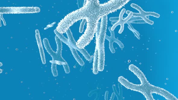 Animation of floating Chromosomes