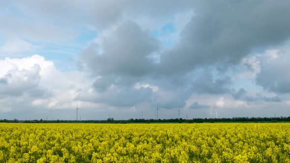 Rural Landscape With Wind Turbines in Flowering Colza Field. Time Lapse Footage.  alt