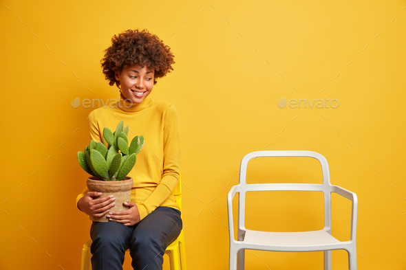 Dark skinned curly haired woman smiles pleasantly holds pot of cactus poses on chair being lonely at